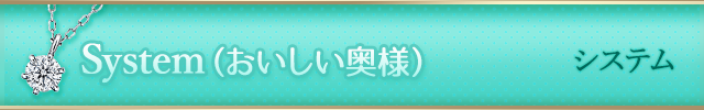 システム